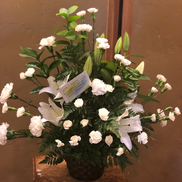 Meet your Posher, Ruby - Picture 1 of 1